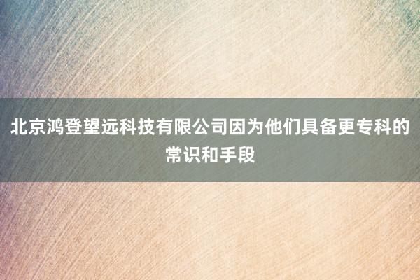 北京鸿登望远科技有限公司因为他们具备更专科的常识和手段